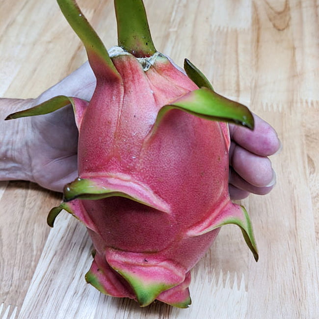 Dragon fruit White Commercial