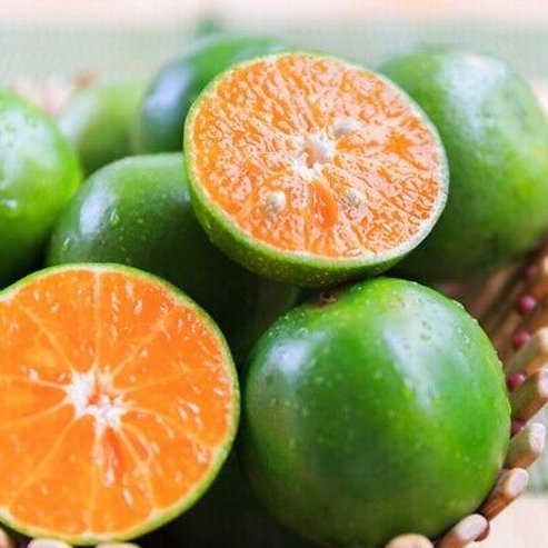 Dwarf Calamansi  (QLD Only)