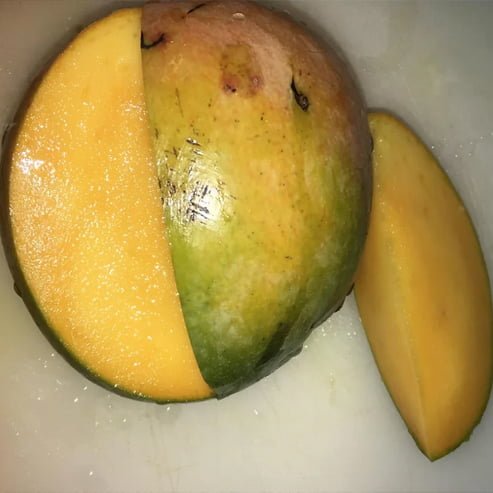 Dwarf Mango Little Gem - Ladybird Nursery