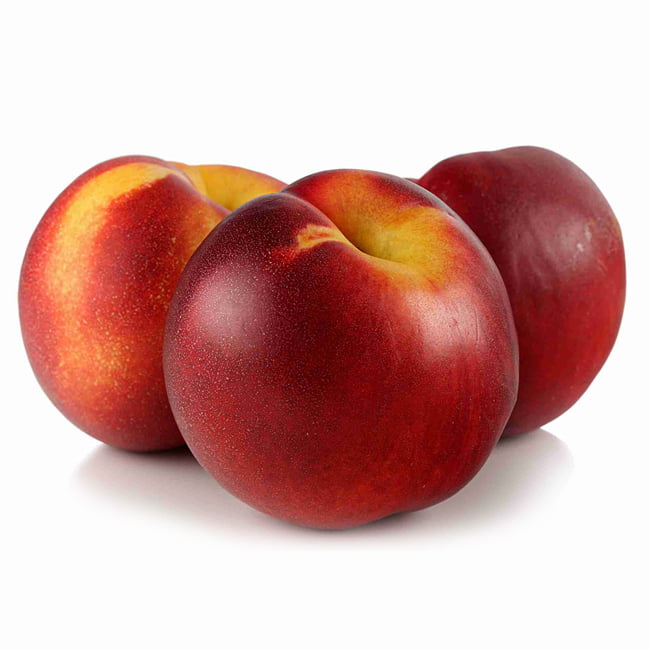 Dwarf Nectarine Sunset Backyard Beauty