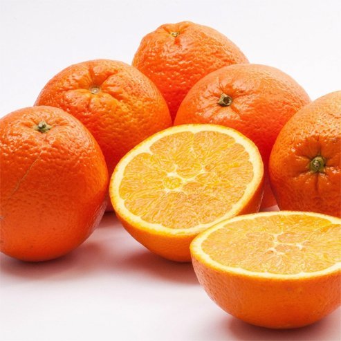 Dwarf Orange Newhall Navel (QLD Only) - Ladybird Nursery