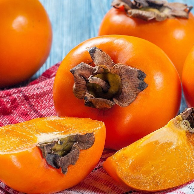 Dwarf Persimmon Wright’s Favourite astringent - Ladybird Nursery