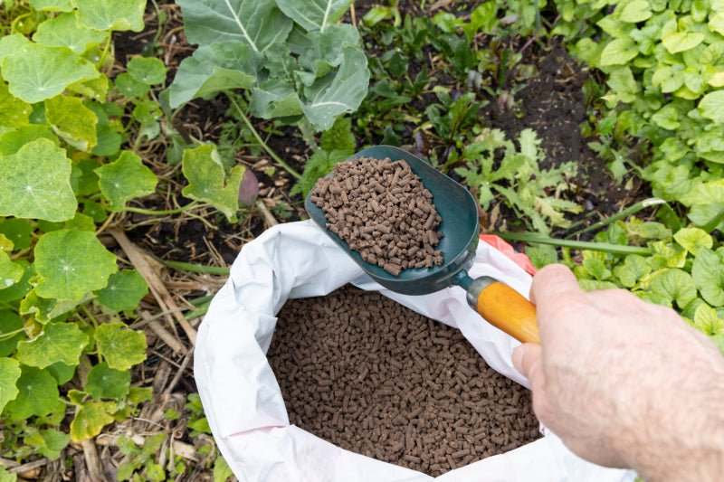 Organic Plant Food Pellets - Ladybird Nursery