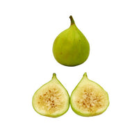Fig Cape White - Ladybird Nursery