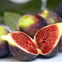 Fig Ivans Brown