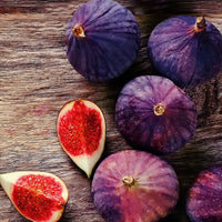 Fig Ivans Brown - Ladybird Nursery