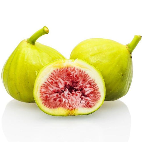 Fig White Genoa (advanced size) - Ladybird Nursery