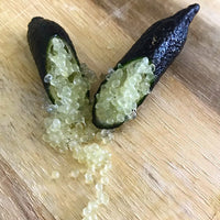 Finger lime Alstonville (QLD ONLY)