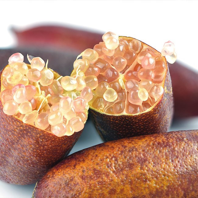 Finger Lime Dark Red (QLD Only) - Ladybird Nursery