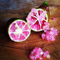 Finger Lime Pink Ice (QLD ONLY)