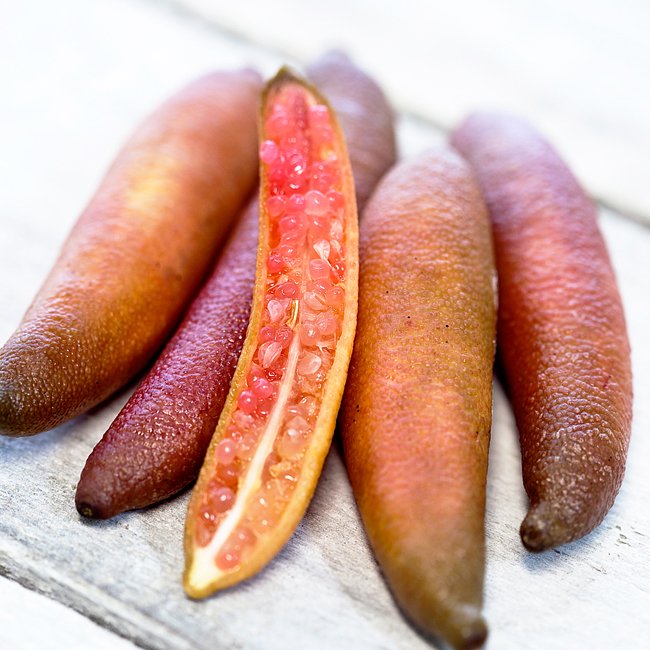 Dwarf Finger Lime Rainforest Pearl (QLD Only)
