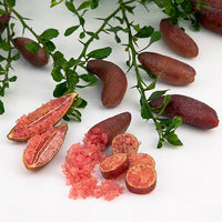 Finger lime Torakina Pink Grafted (QLD ONLY)