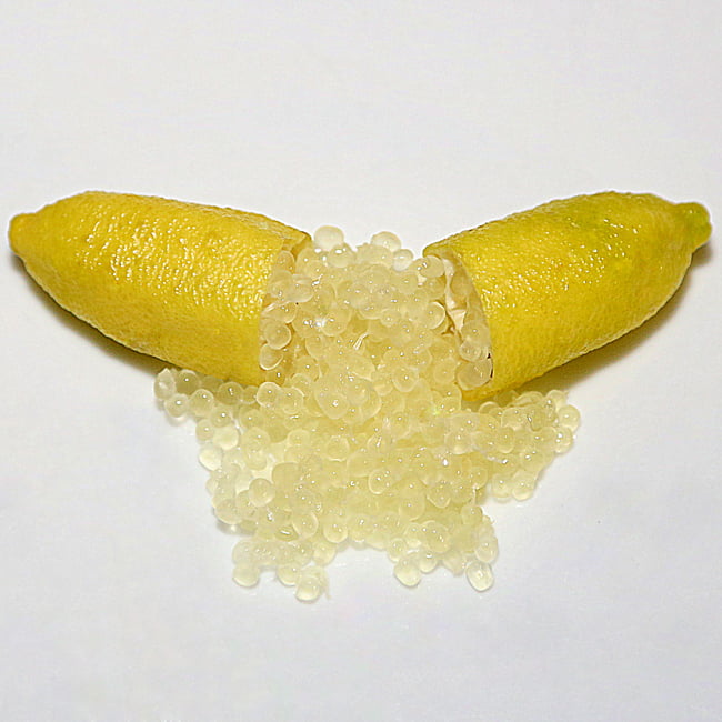 Finger lime Yellow Cutting