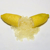 Finger lime Yellow Cutting