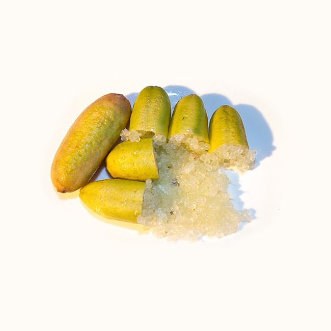 Finger lime Yellow grafted (QLD ONLY)