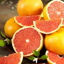 Dwarf Grapefruit 'Flame' (QLD Only) - Ladybird Nursery