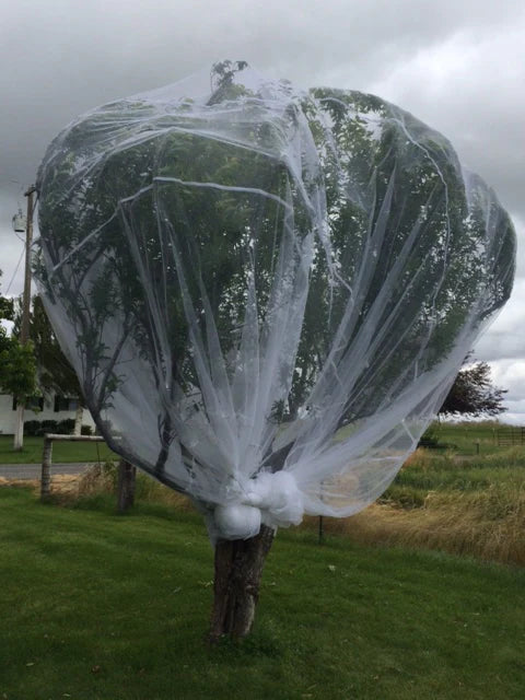 Fruit Fly Insect Protection Net 6m x 10m