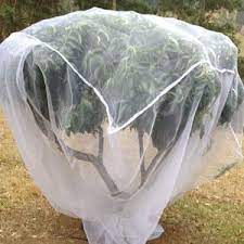 Fruit Fly Insect Protection Net 3m x 5m - Ladybird Nursery