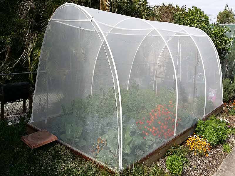 Fruit Fly Insect Protection Net 12m x 10m - Ladybird Nursery