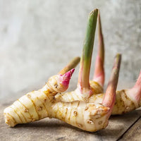 Galangal