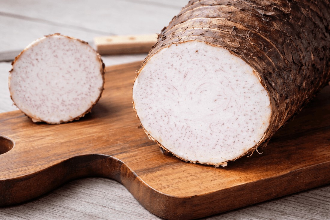 Giant Purple Eating Taro (Colocasia esculenta 'Giant Purple') - Ladybird Nursery