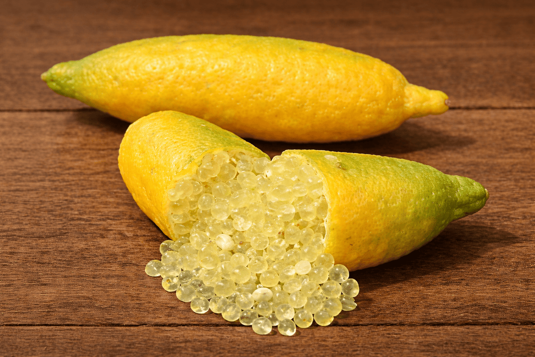 Gold Finger Lime (Grafted) QLD ONLY - Ladybird Nursery