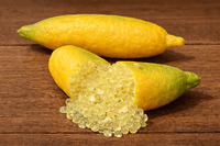 Gold Finger Lime (Grafted) QLD ONLY - Ladybird Nursery