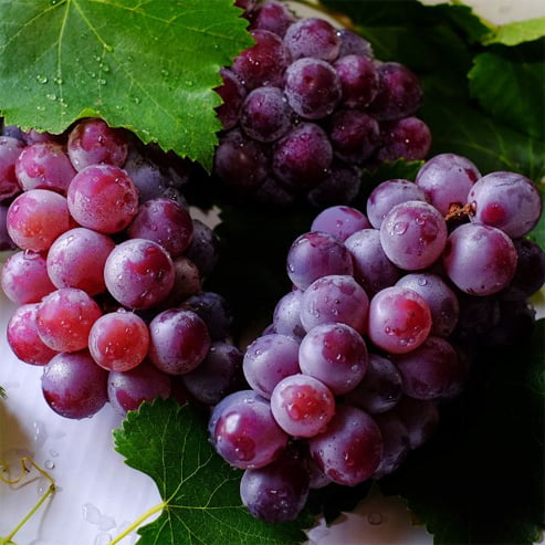 Grape 'Flame Seedless' (QLD ONLY)