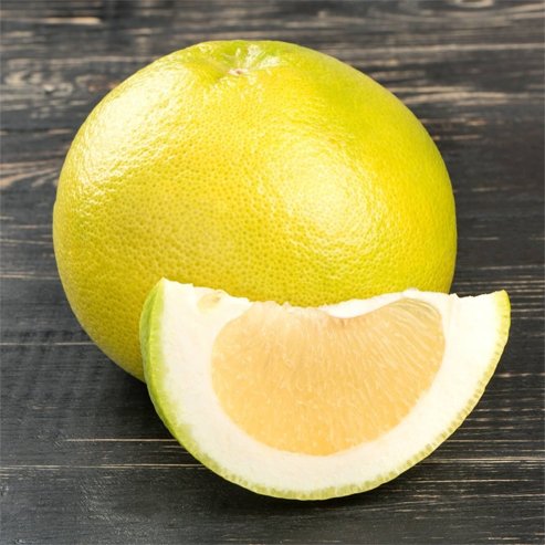 Grapefruit Oro Blanco (QLD Only) - Ladybird Nursery