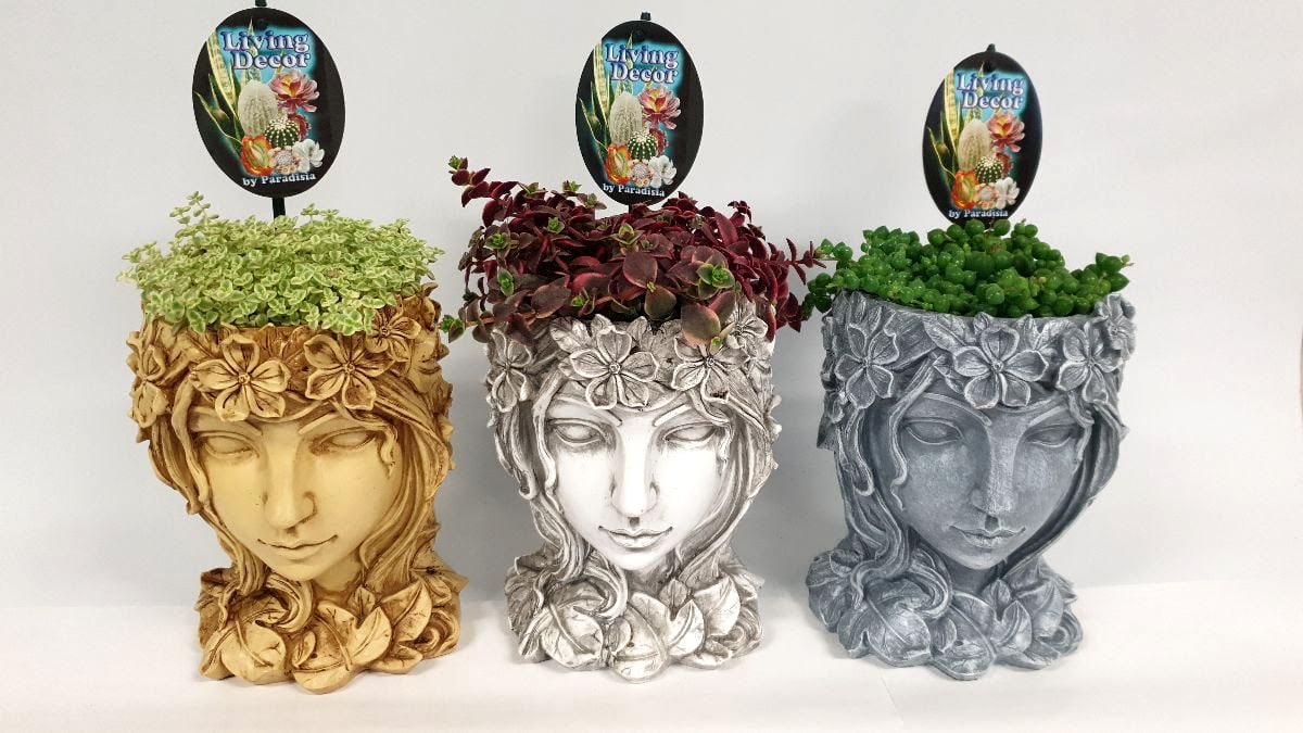 Grecian Lady Planter Pot with plant as hair