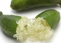 Green Sapphire Finger Lime (QLD Only) - Medium