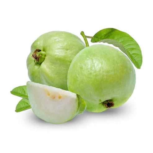 Guava 'Thai White' - Advanced