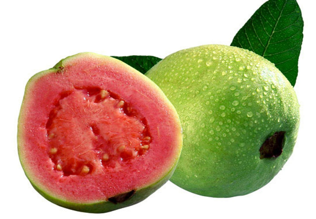 Hawaiian Pink Guava - Ladybird Nursery