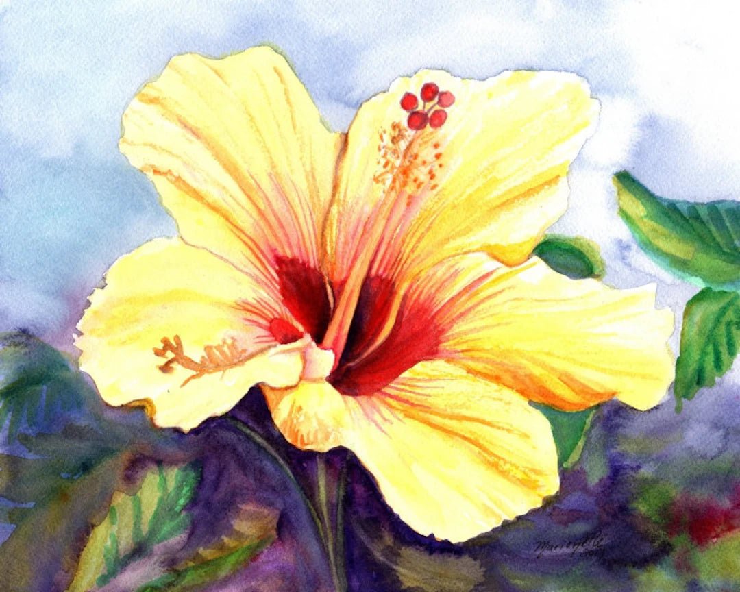Hibiscus Aloha - Ladybird Nursery