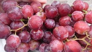 Grape 'Ruby Seedless' (QLD ONLY)