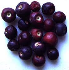 Phalsa