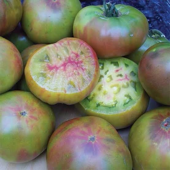 Tomato 'Ananas Noir' - Ladybird Nursery