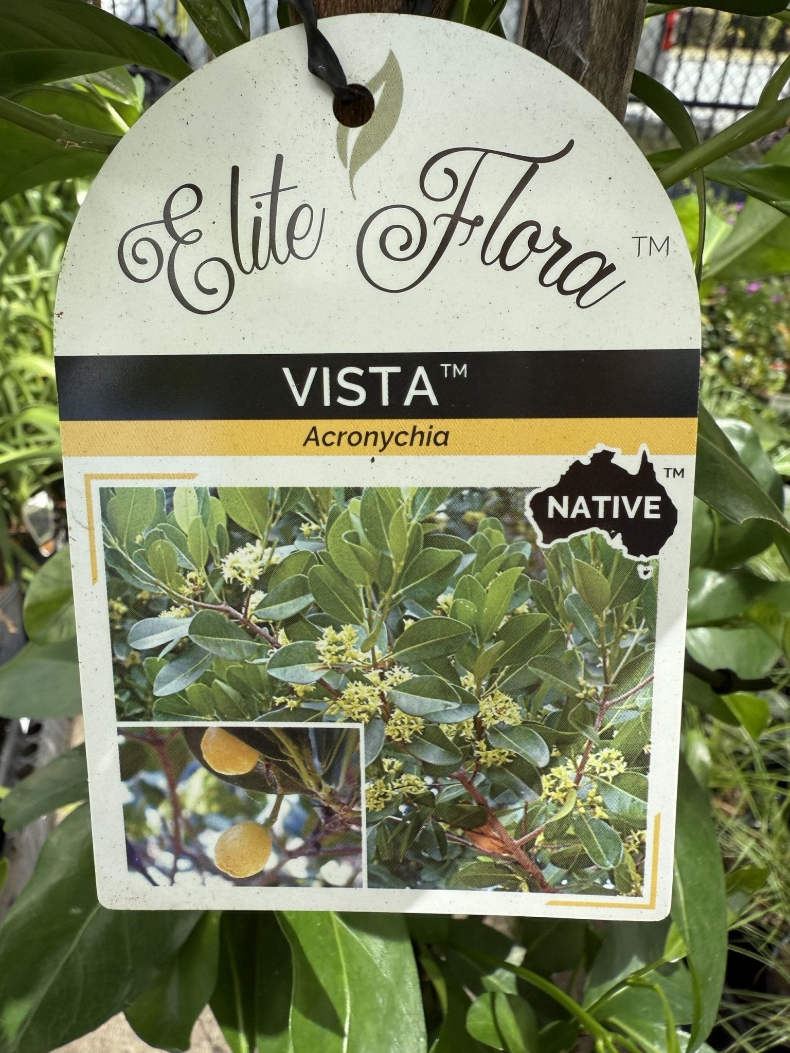 Fraser Island Apple 'Vista' - Advanced 45Ltr Bag **PICKUP ONLY** - Ladybird Nursery