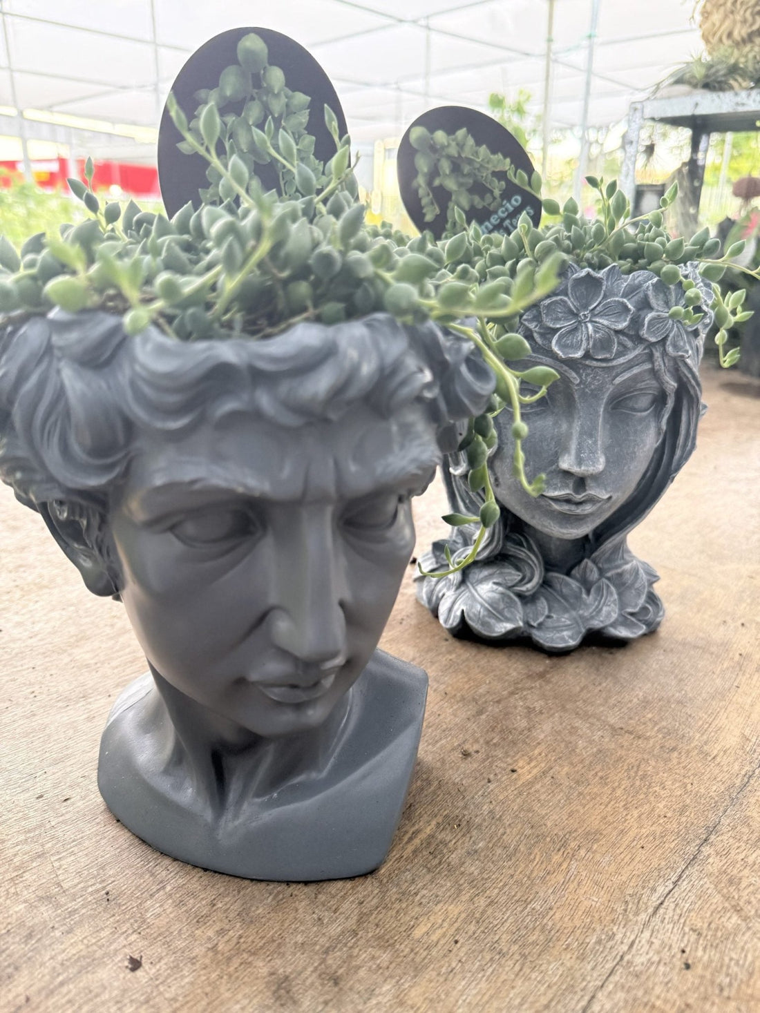 Head Planter Pot Plant - Ladybird Nursery