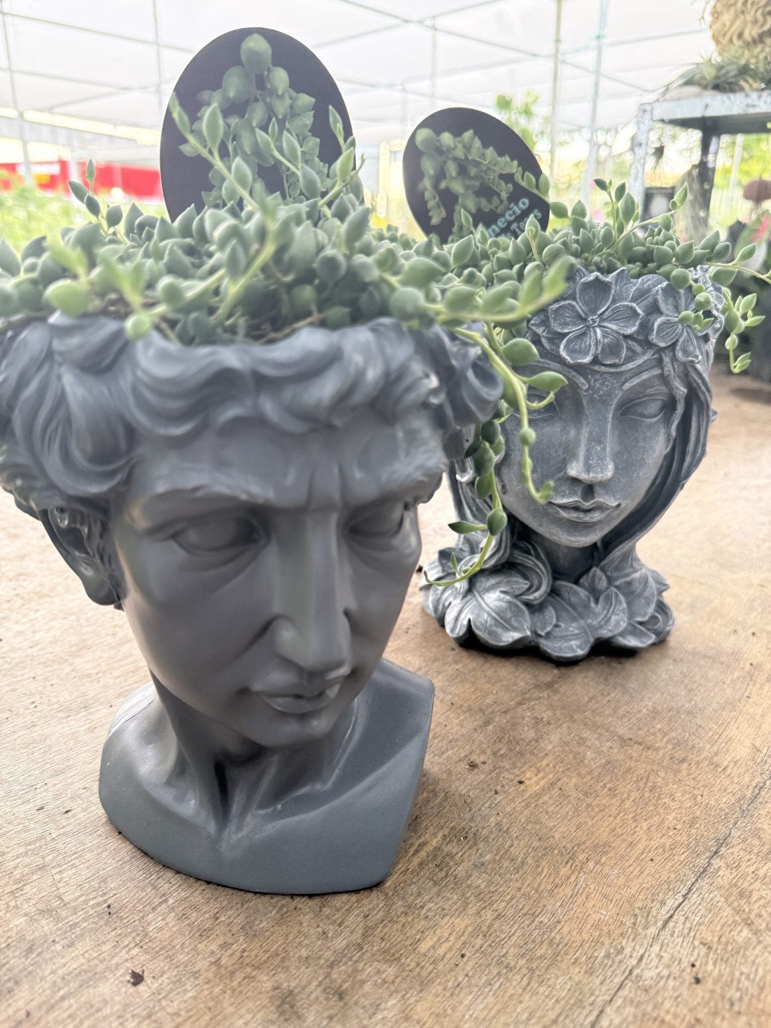 Head Planter Pot Plant - Ladybird Nursery