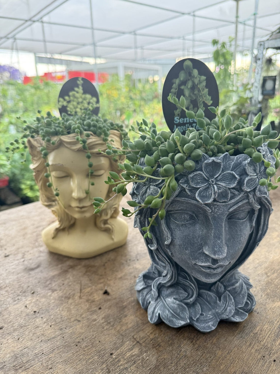 Head Planter Pot Plant - Ladybird Nursery