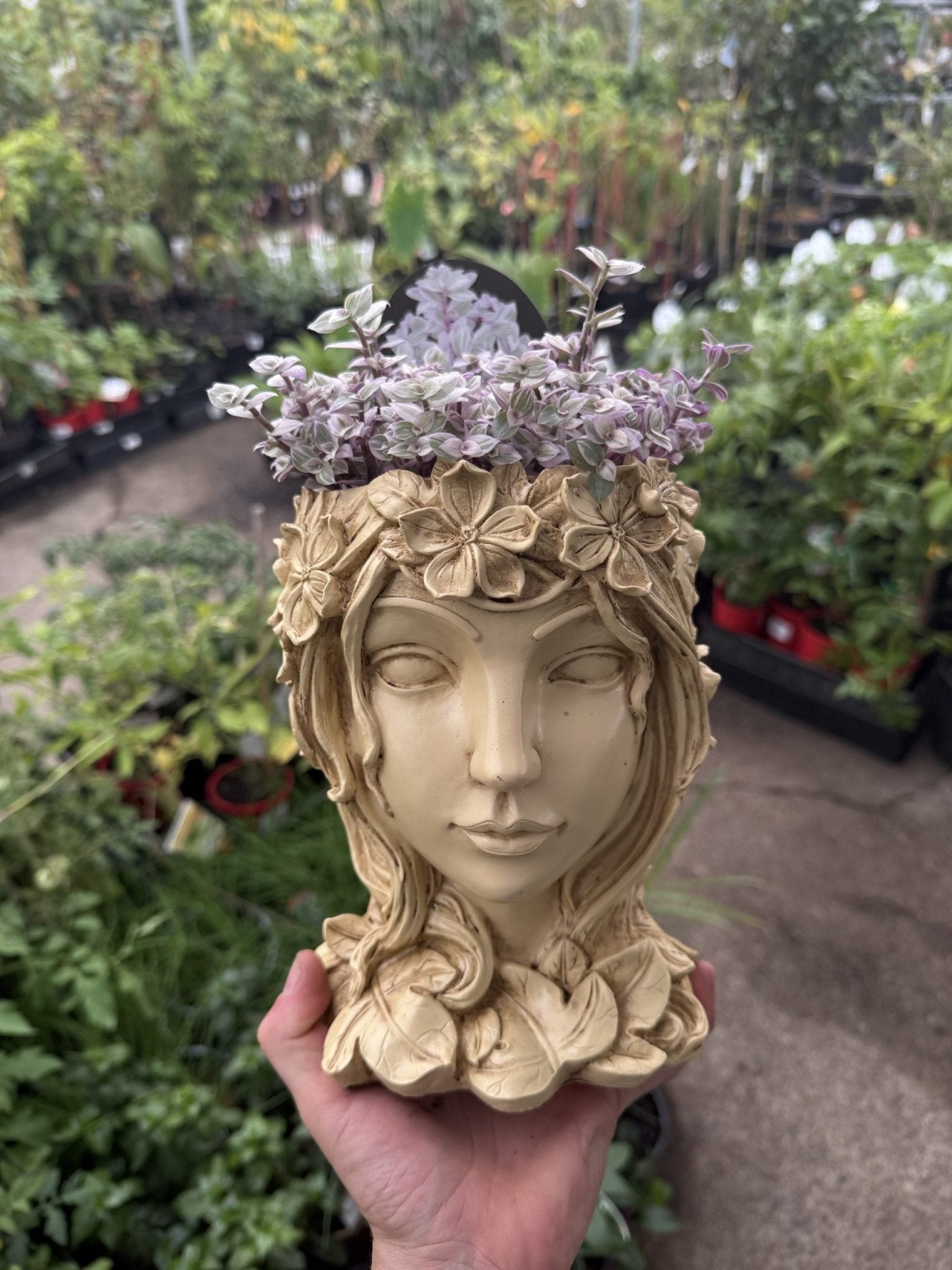 Head Planter Pot Plant - Ladybird Nursery