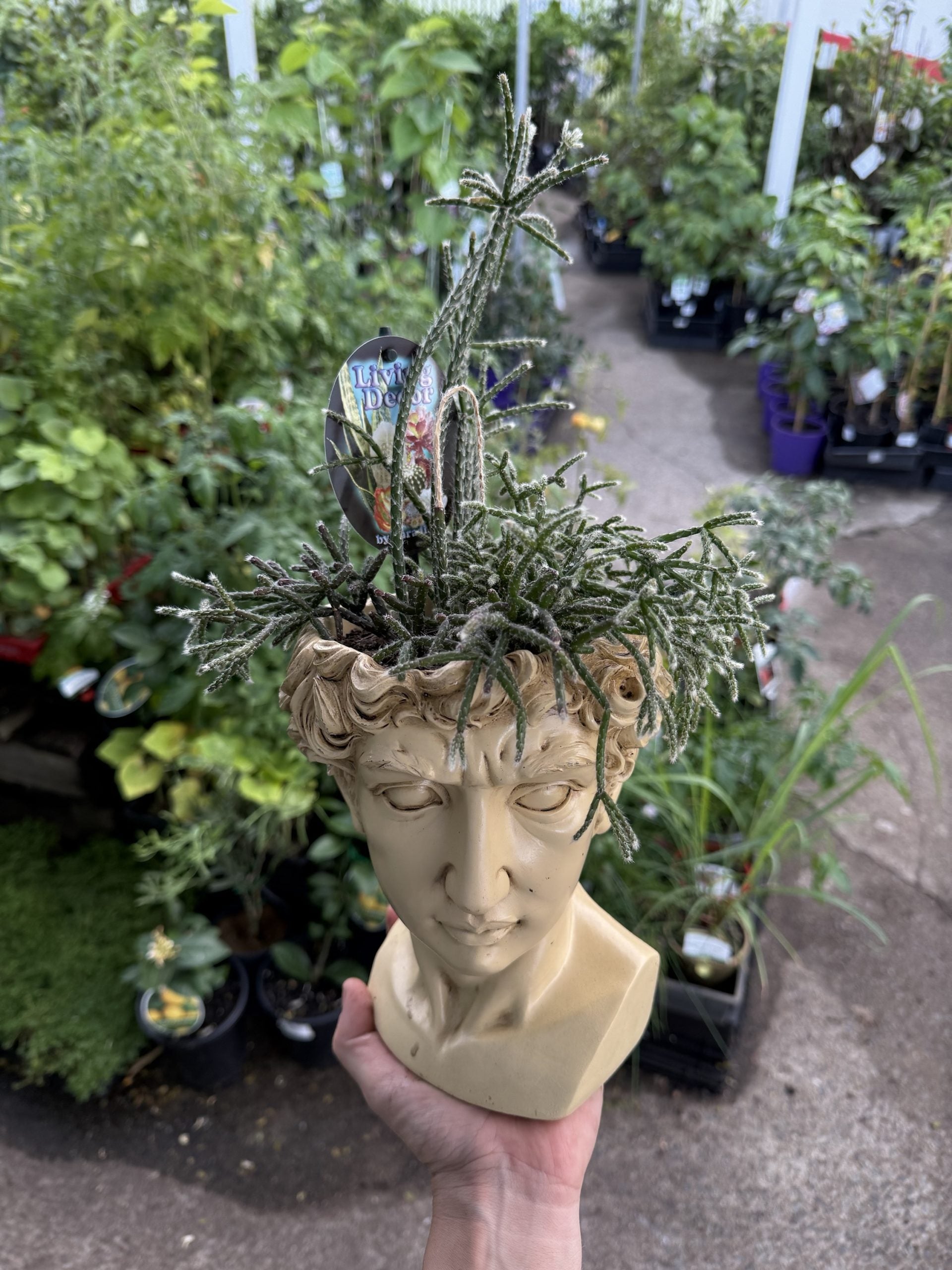 Head Planter Pot Plant