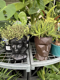 Head Planter Pot Plant - Ladybird Nursery