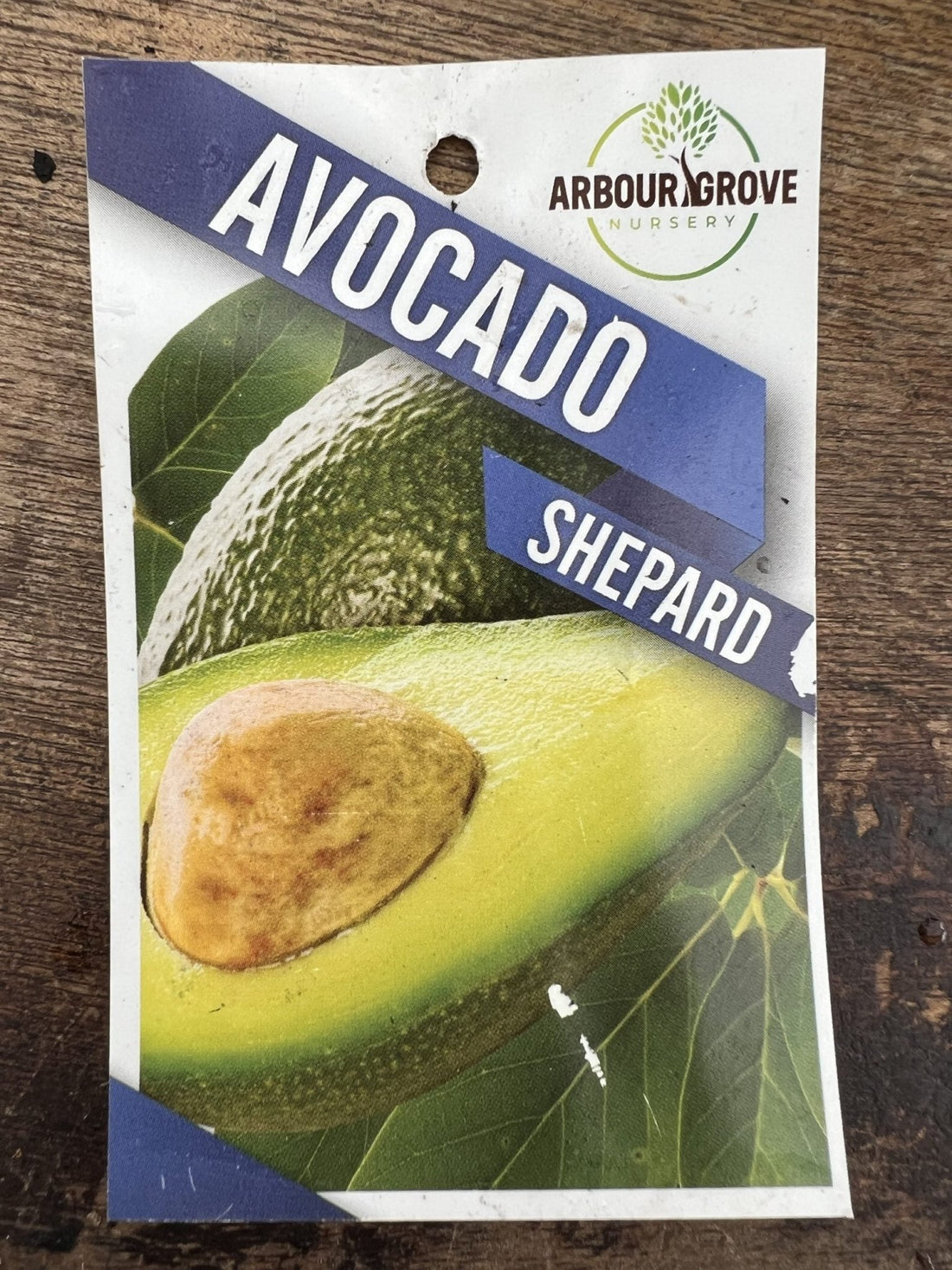 Shepard Avocado - Medium - Ladybird Nursery