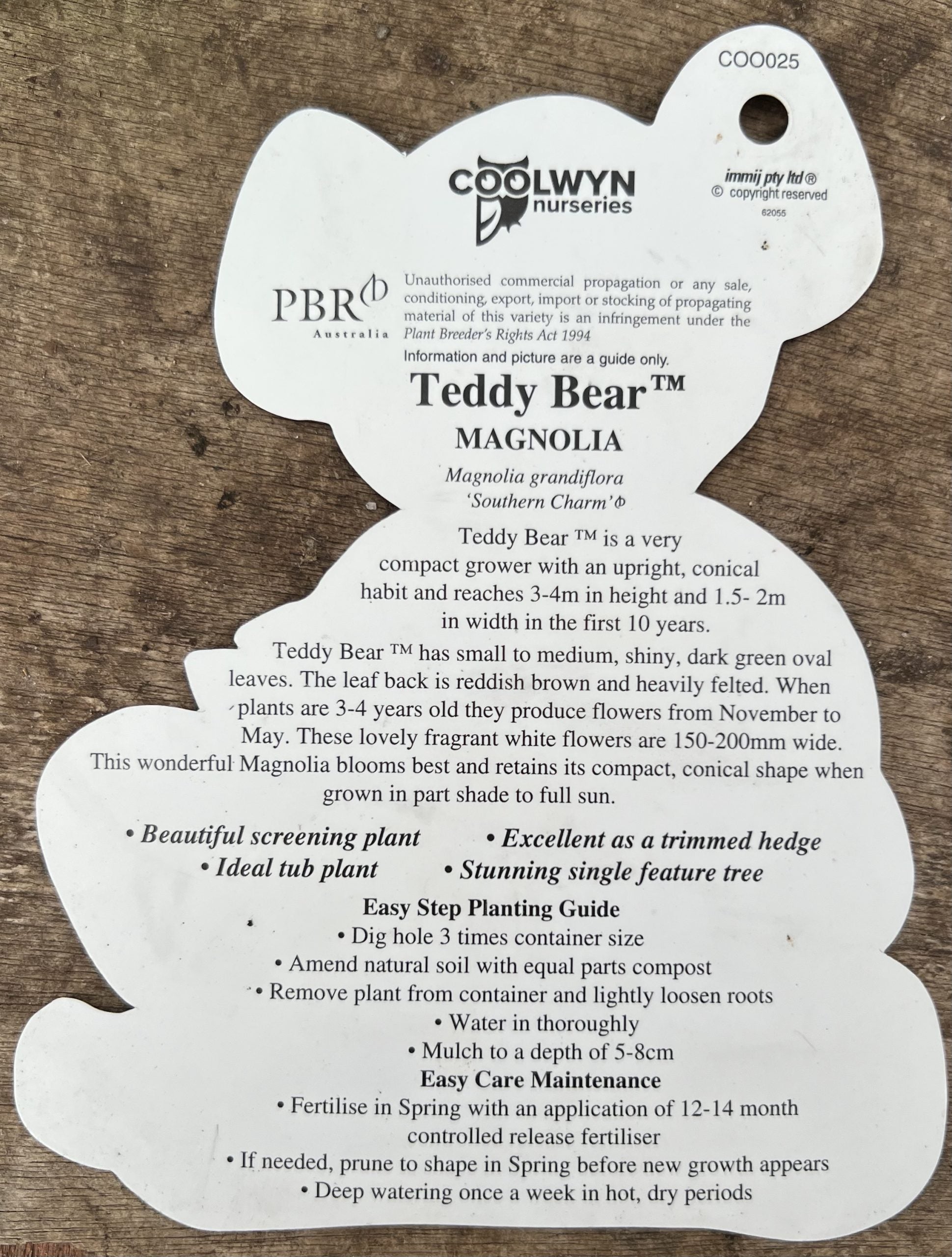 Teddy Bear Magnolia (100litre Bags) PICK UP ONLY