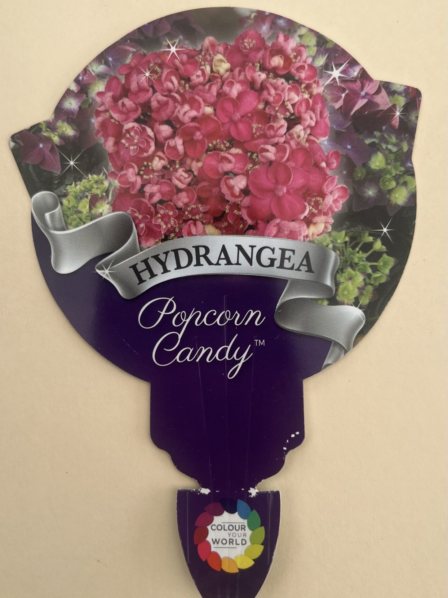 Hydrangea Popcorn Candy