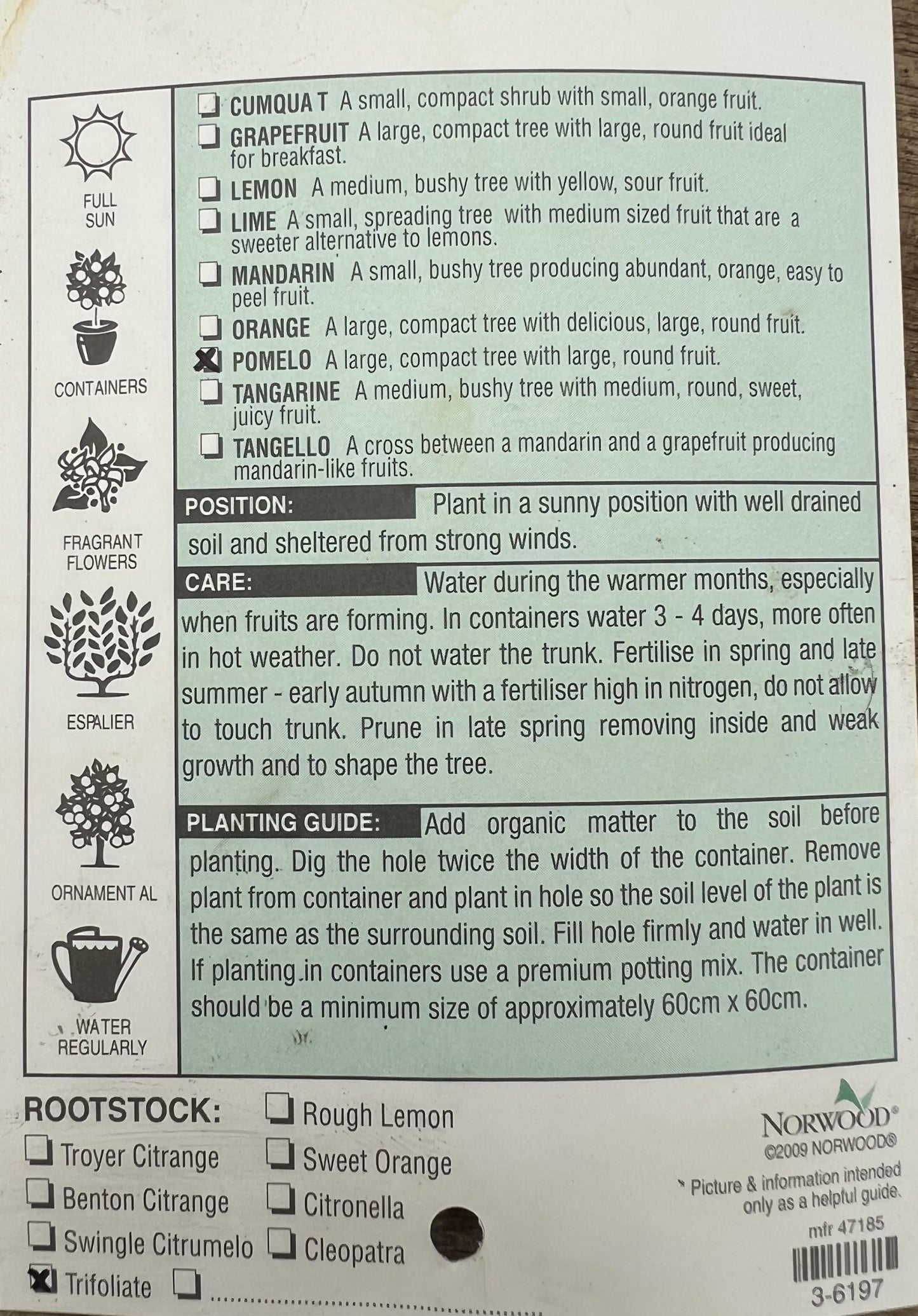 Pummelo K13 500mm PICK UP ONLY