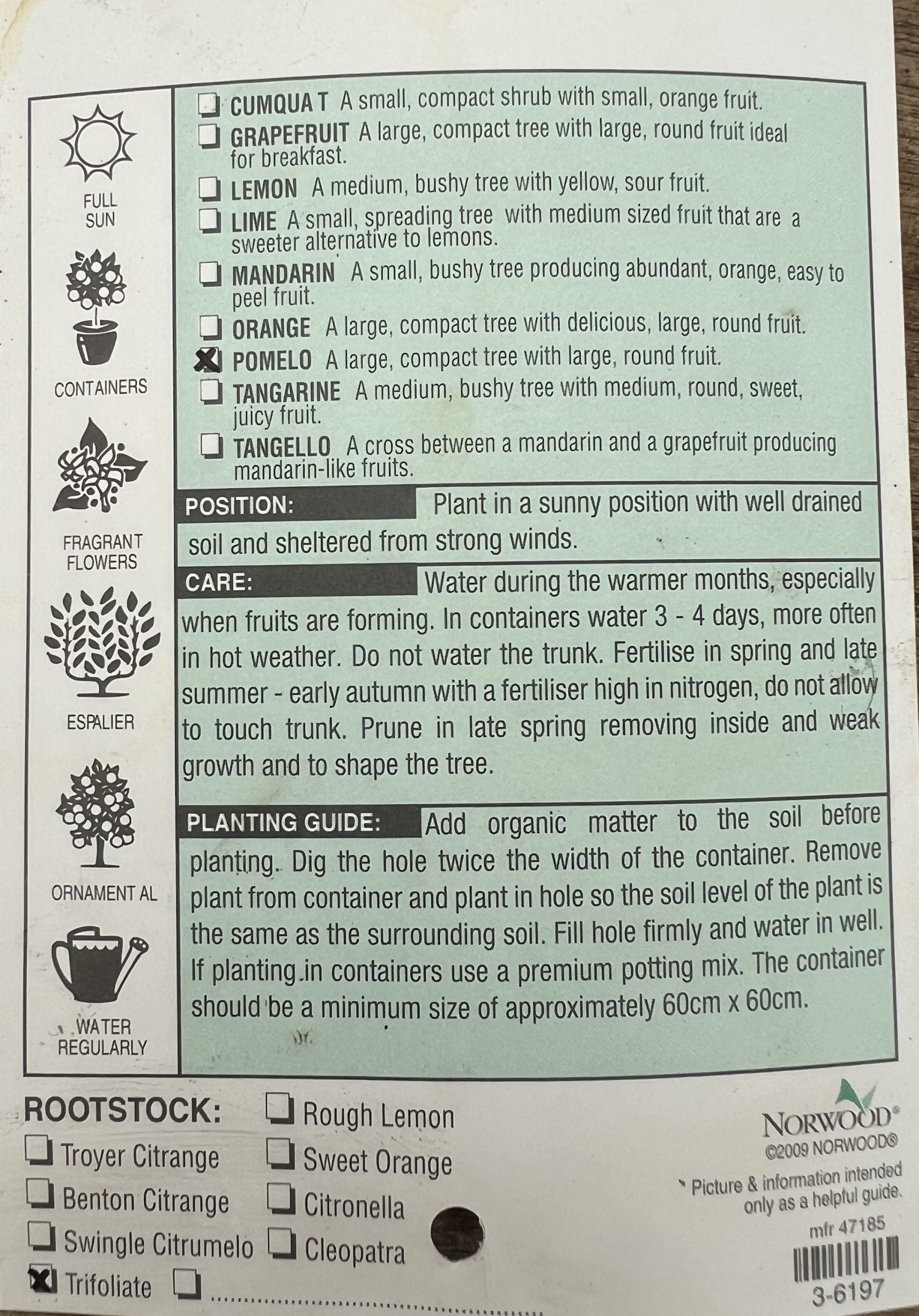 Pummelo K13 500mm PICK UP ONLY
