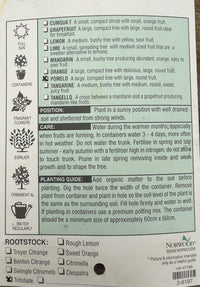 Pummelo K13 500mm PICK UP ONLY